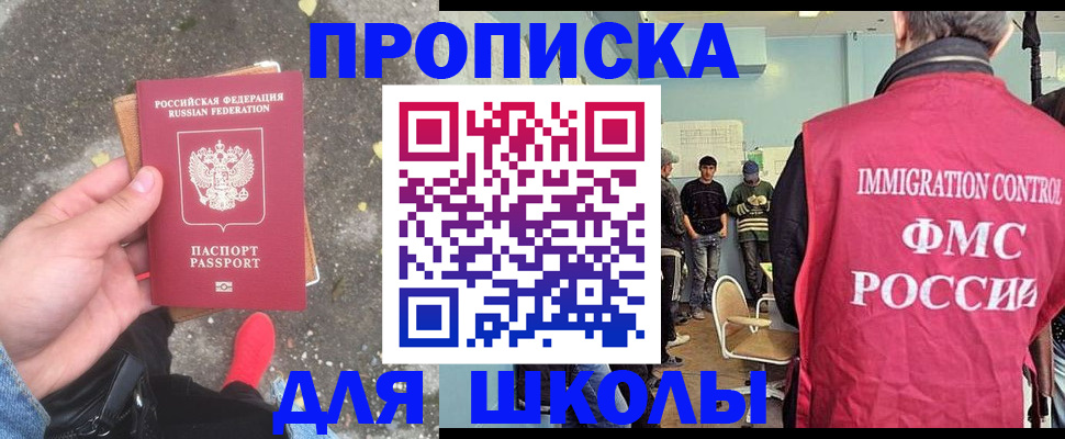 где прописаться в Светогорске